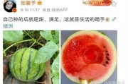 有什么娱乐圈瓜可以吃,揭秘明星幕后故事与精彩瞬间